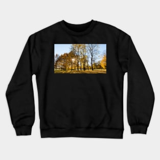 Autumn in Helsinki Crewneck Sweatshirt